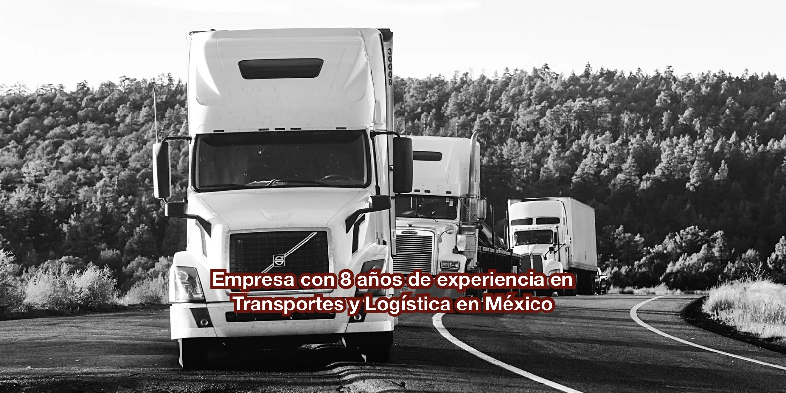 Empresa de Transportes y Logística